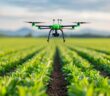 Berufsperspektiven im Precision Farming (Foto: AdobeStock - 913576282 Pachara)